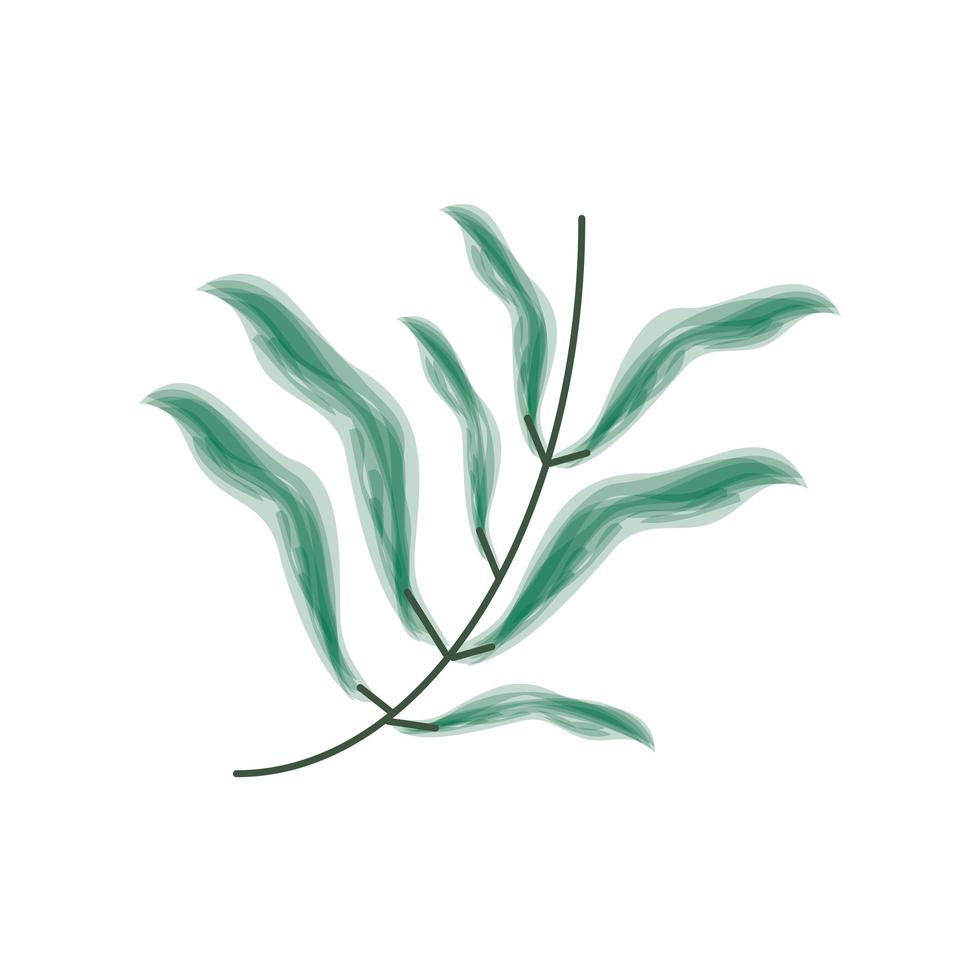 branch leaves foliage icon vector