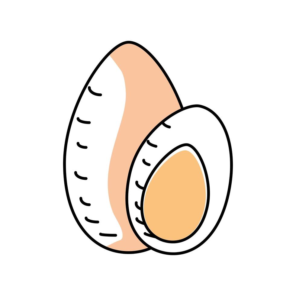 boiled egg fresh vector