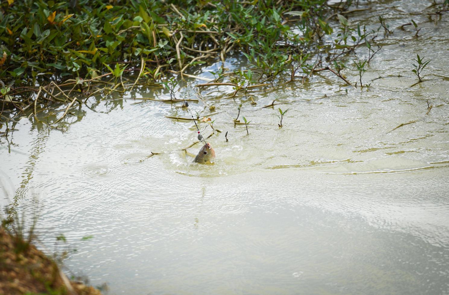 anzuelo de pesca en el río deportes pesca con mosca pescador tirando spinner primer plano de un anzuelo submarino pez tilapia foto