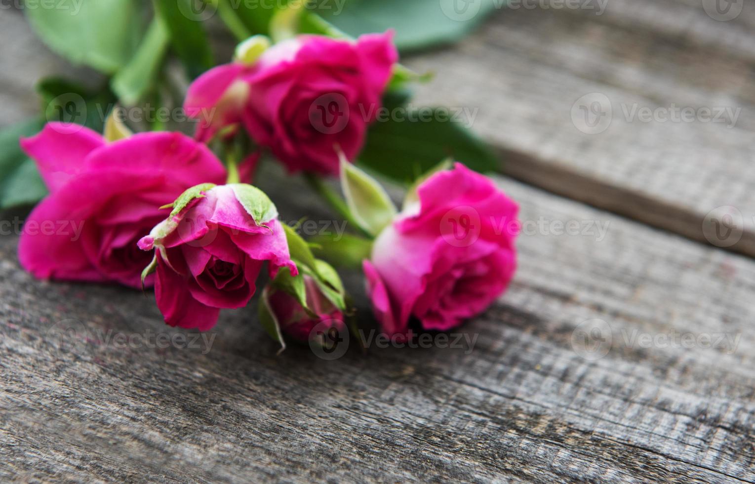 Pink roses on a table photo