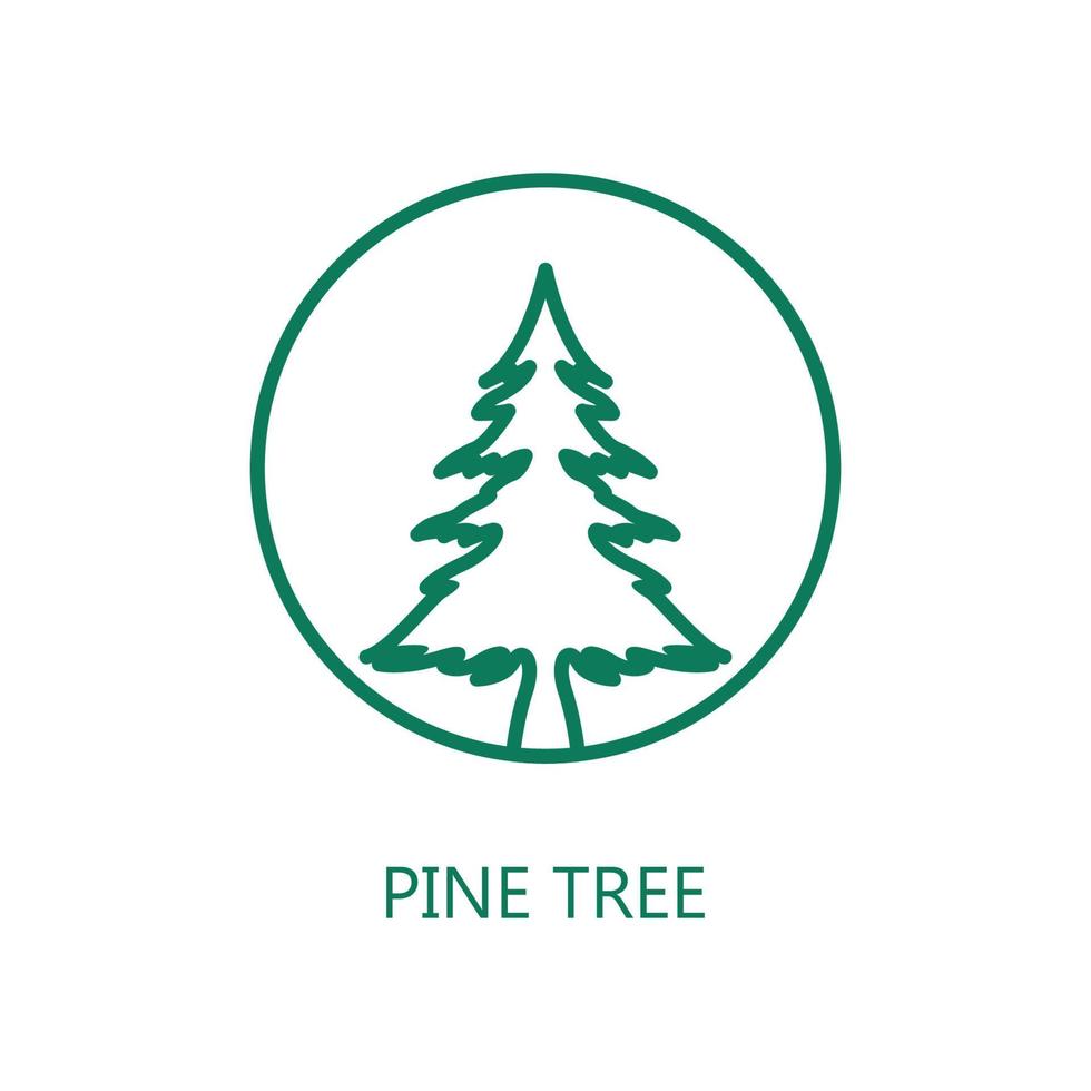 Pine Tree icon. Trendy flat vector Pine Tree icon on white background, vector illustration can be use for web and mobile