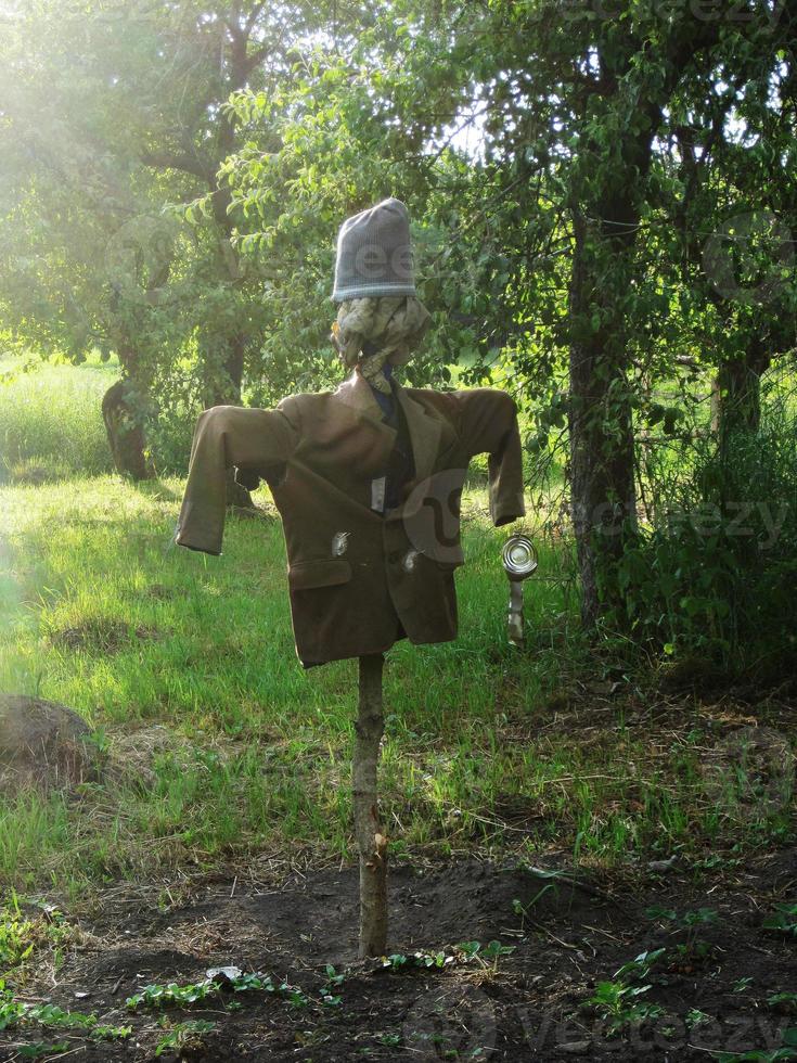 El espantapájaros aterrador en el jardín desalienta a los pájaros hambrientos foto