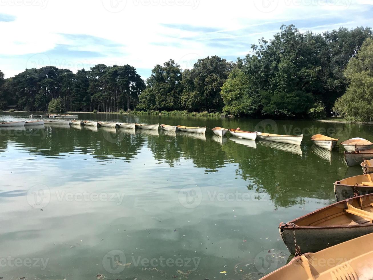 Photo on theme old wooden boat on green water of pond