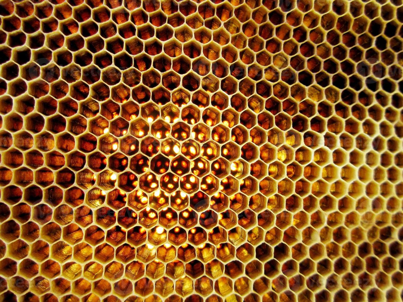 La estructura hexagonal abstracta es un panal de abejas de la colmena. foto