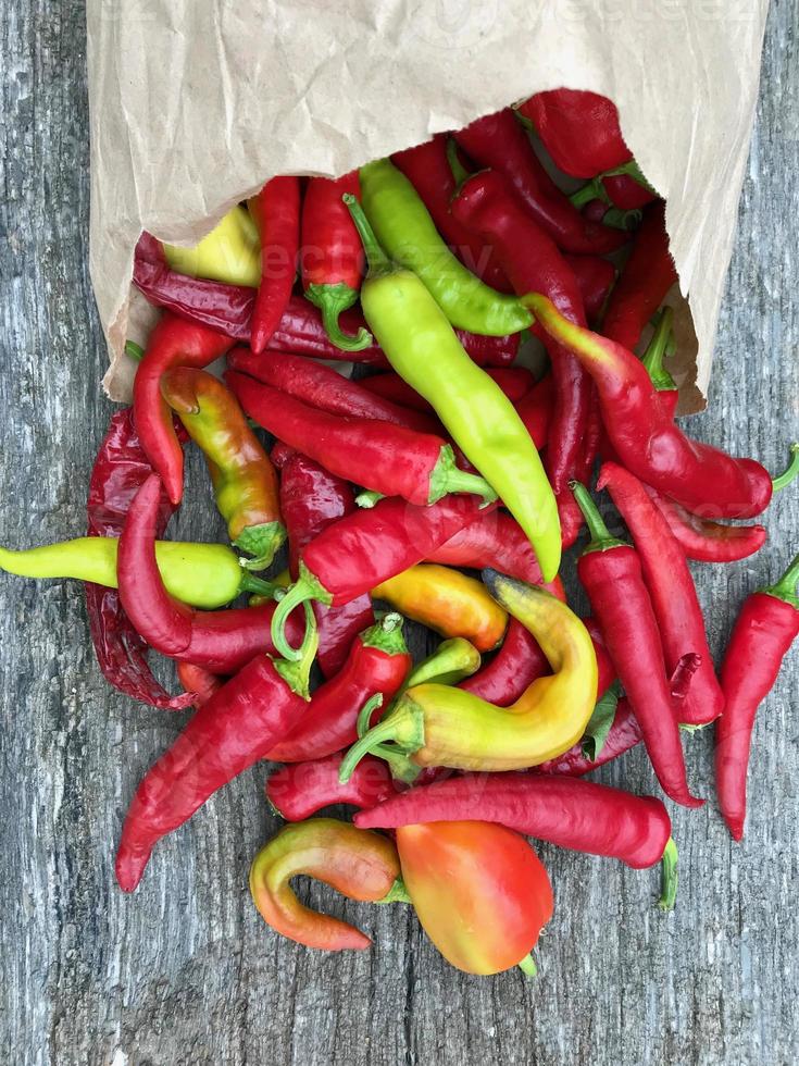 foto sobre el tema largo pimiento rojo picante