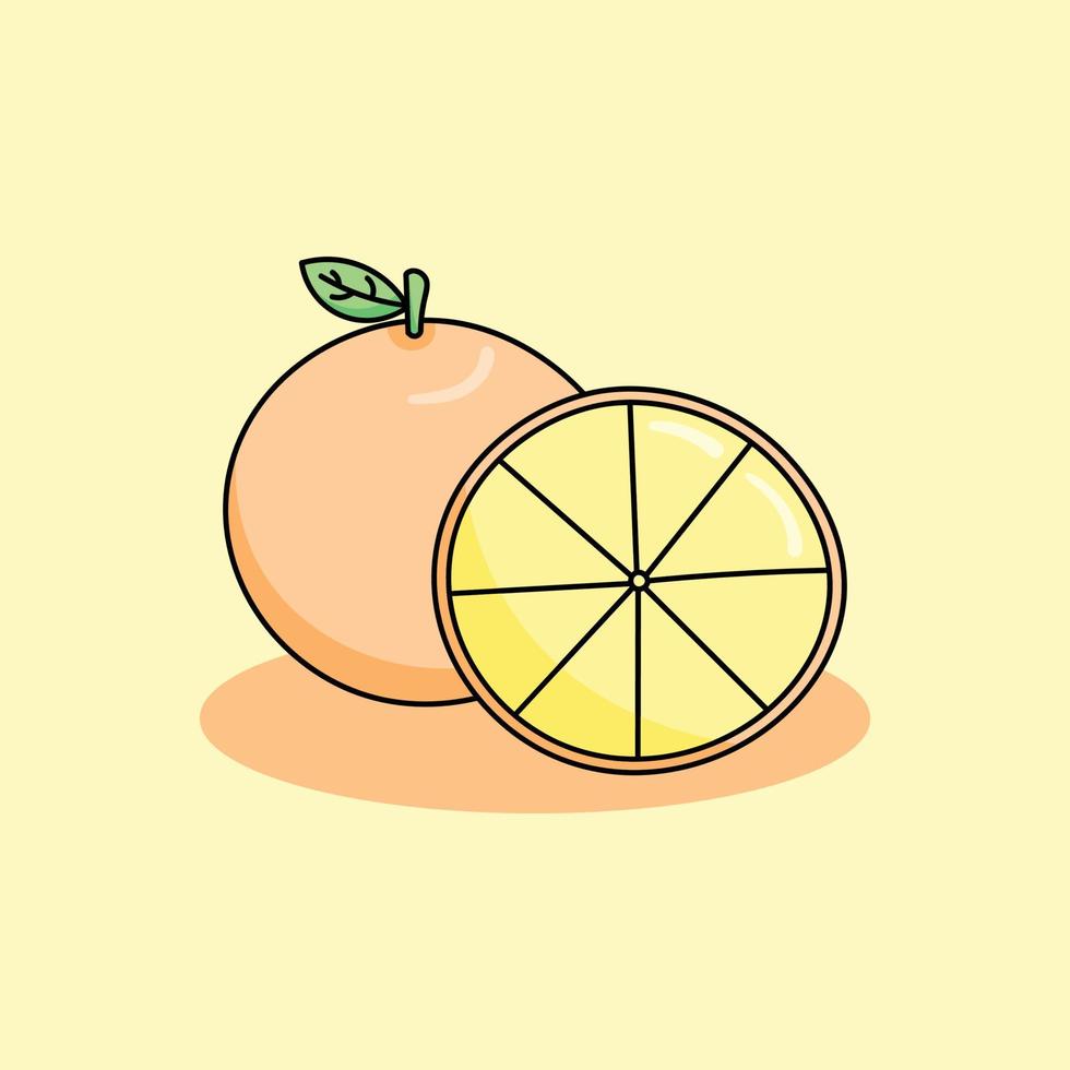 vector illustration of couple orange fruit