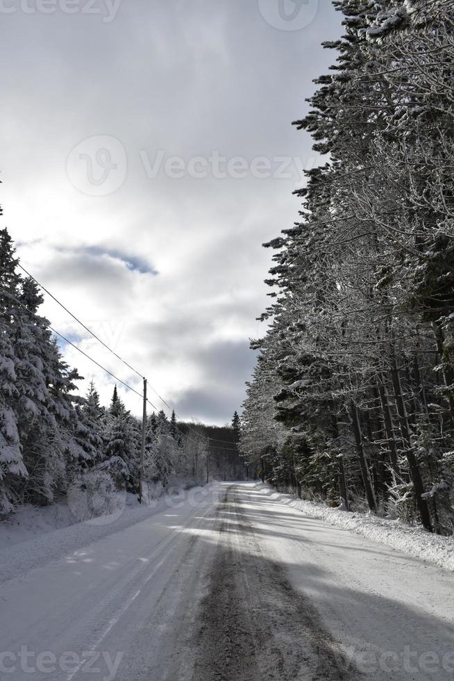 A country road in winter photo
