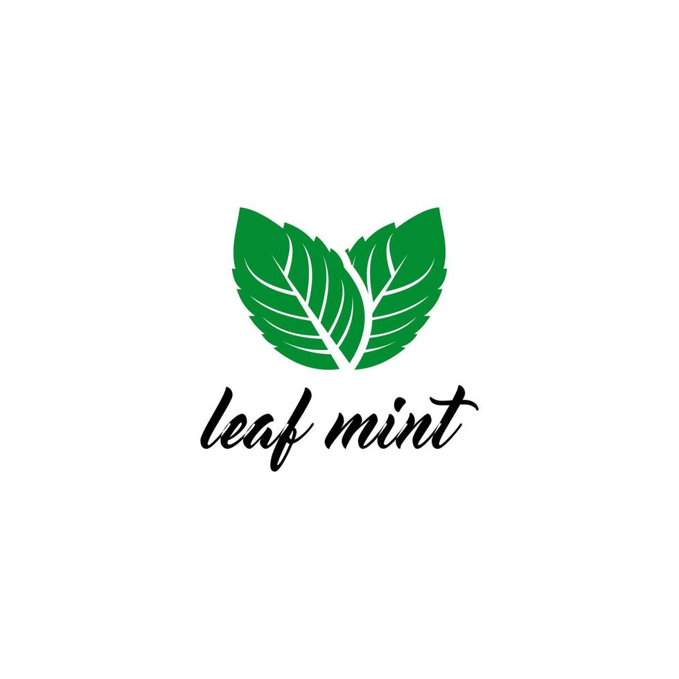 plantilla de logotipo de hoja de menta en fondo blanco vector