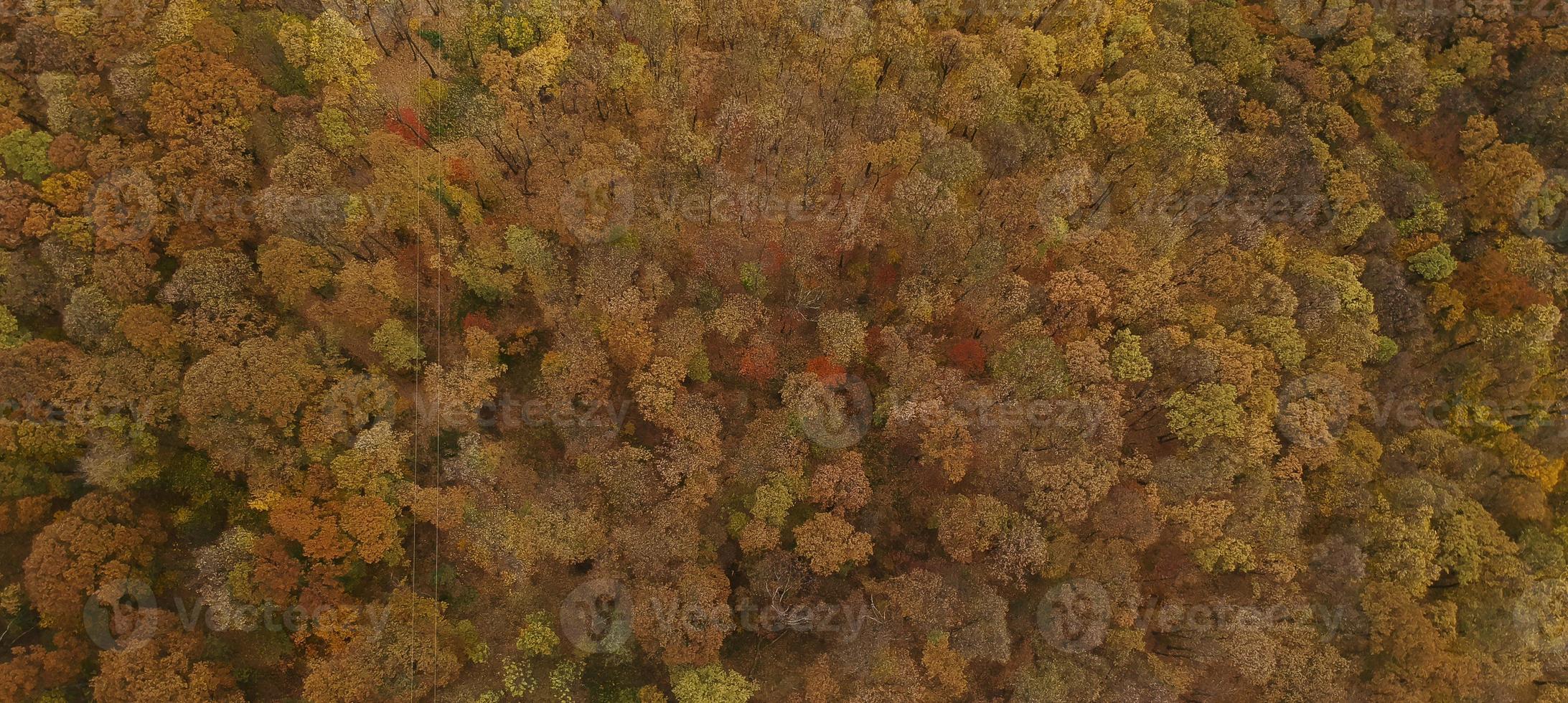 Aerial view at the autumn forest photo