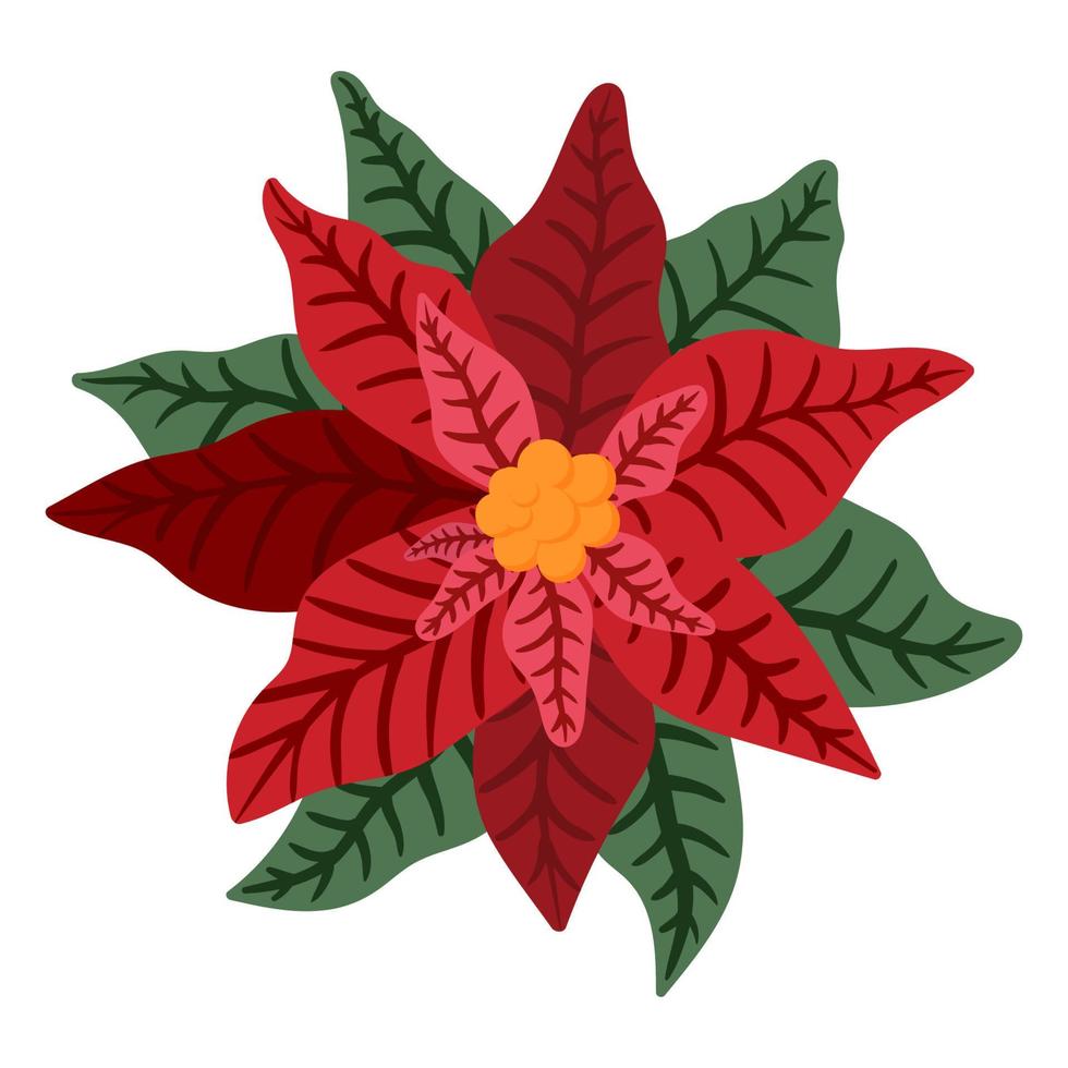 flor de flor de nochebuena roja y hoja ilustración de vector de decoración de Navidad o año nuevo aislado sobre fondo blanco para el diseño de tarjetas de felicitación, página de sitio web, diseño de aplicaciones móviles.