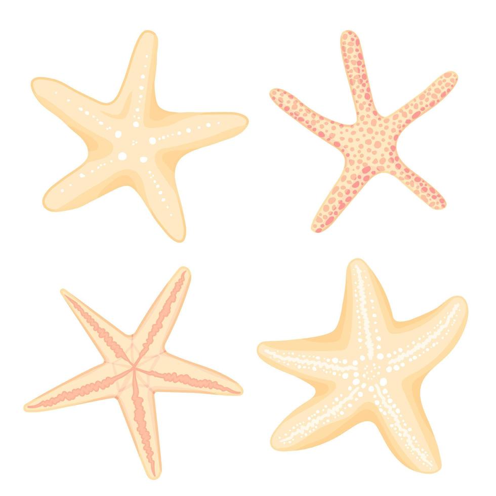 Hand drawn Starfish set, flat cartoon style. Aquarium fauna, reef habitats marine icon. Summer nature ocean aquatic underwater vector illustration for graphic design, web site. Sticker collection.