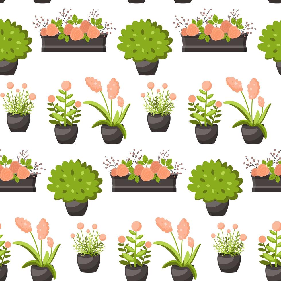 Vector flat illustration of plants in pots.
