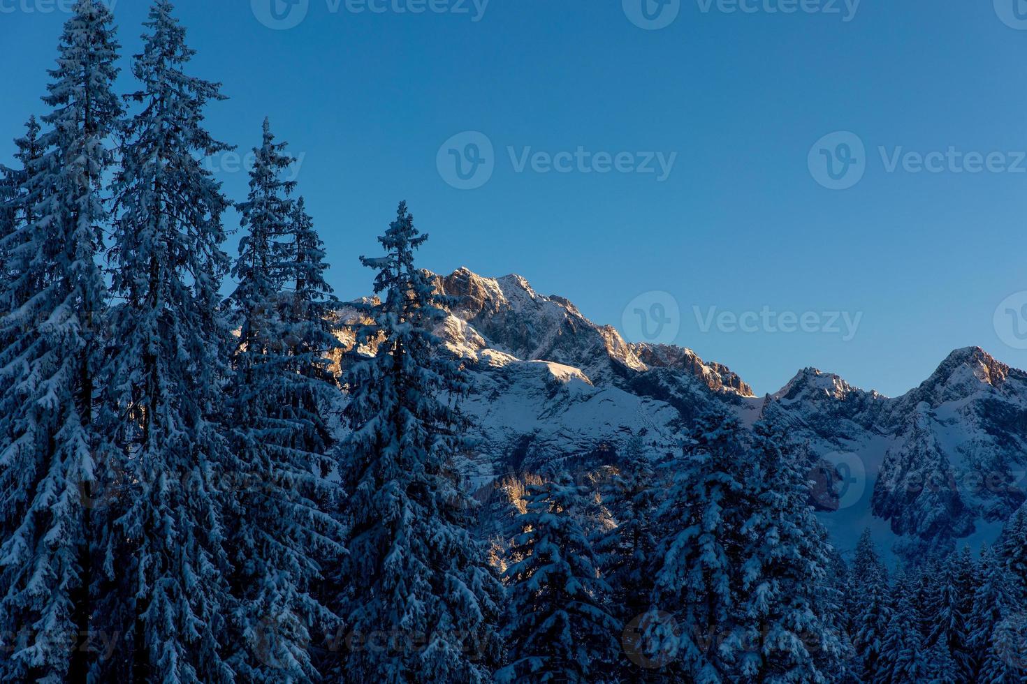 Vista del atardecer de pinos cubiertos de nieve y picos montañosos en los Alpes bávaros foto