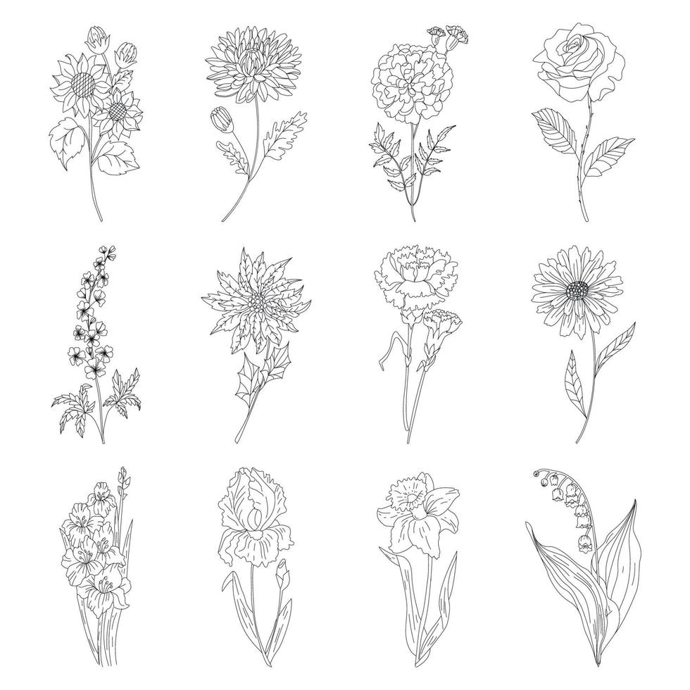 boceto conjunto de botánica floral. variedad de dibujos de flores y hojas. blanco y negro con arte lineal sobre fondos blancos. ilustraciones dibujadas a mano. vector