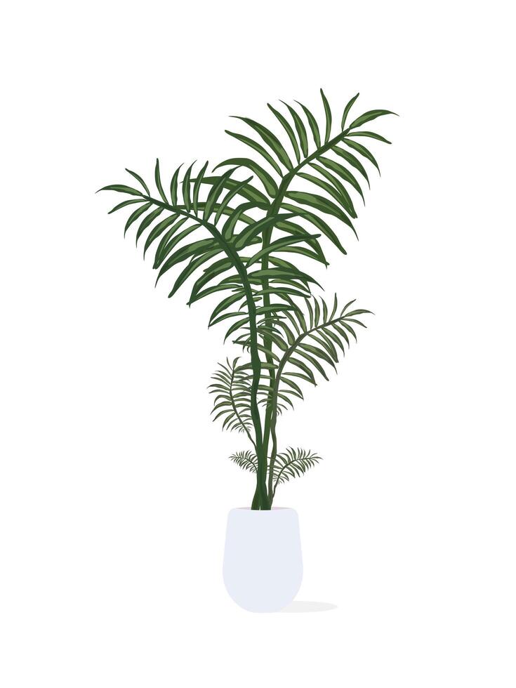 A potted palm tree on a white background vector