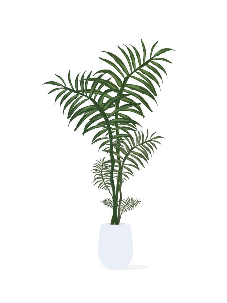 Fern in a white pot. Plant for home isolated on white background. vector