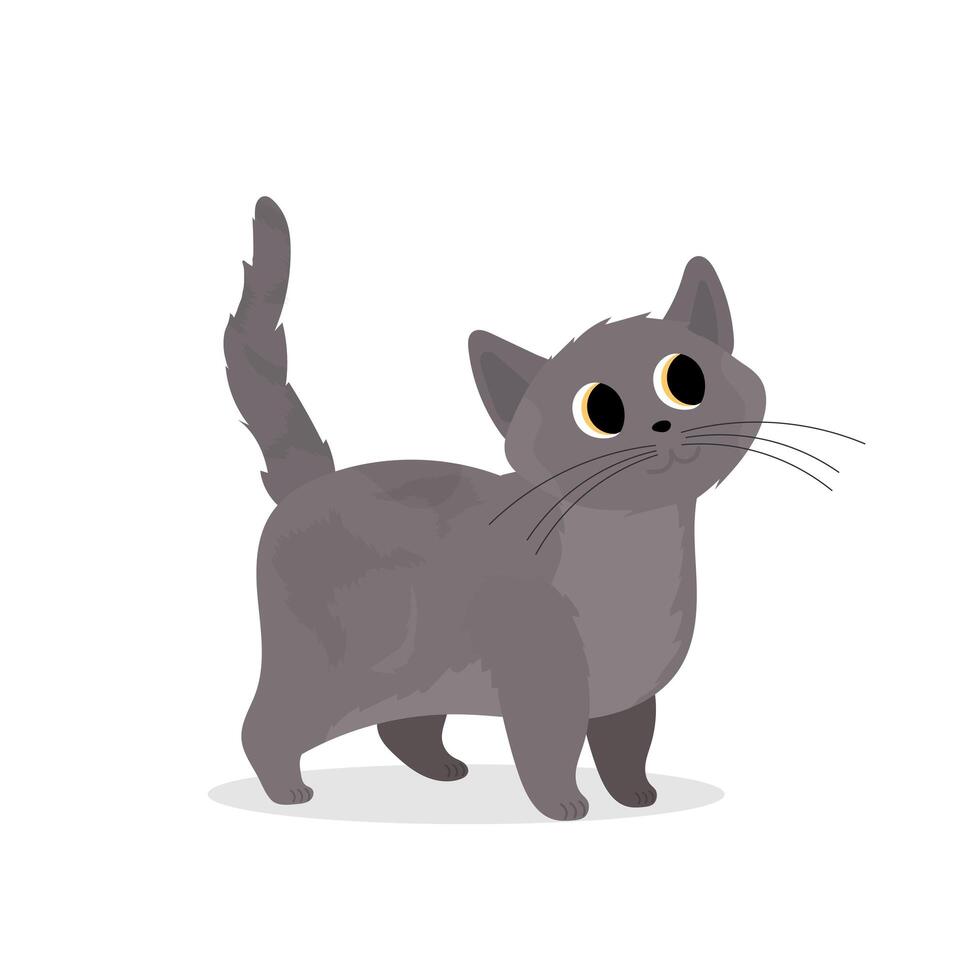 A cartoon gray cat with big eyes vector