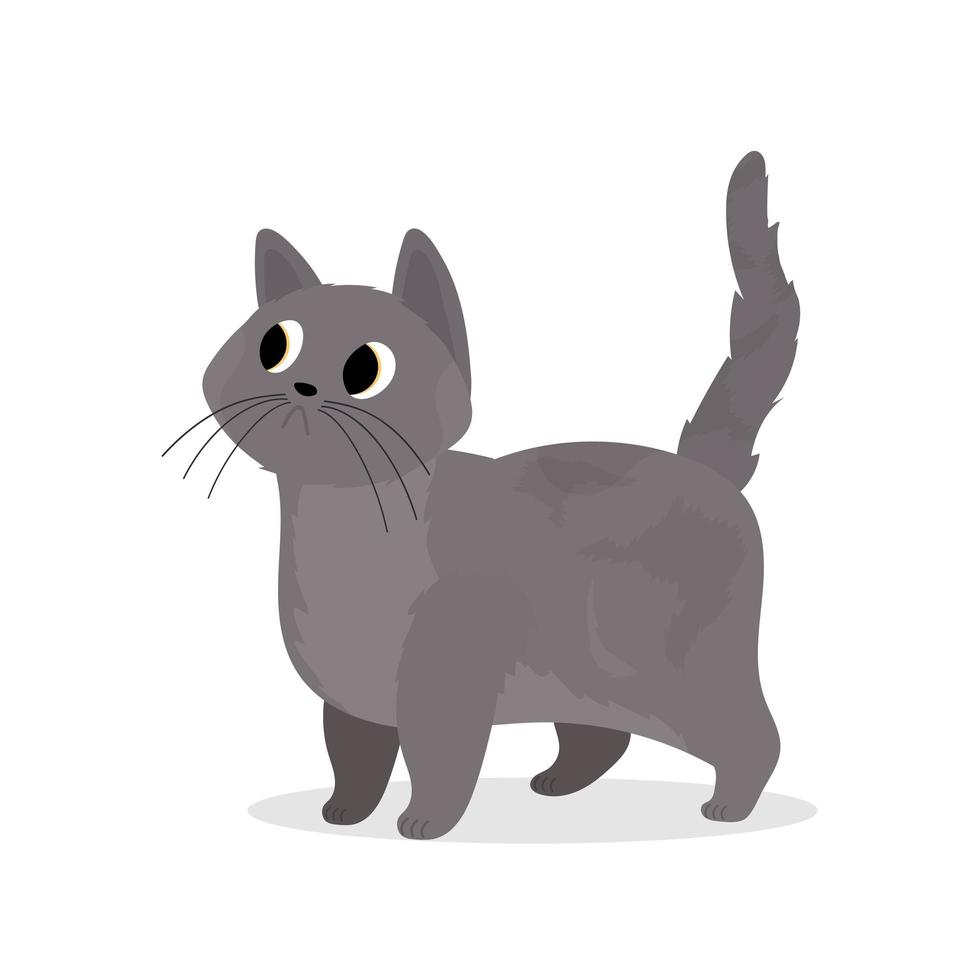 lindo gato gris. Adecuado para pegatinas y postales. aislado. vector. vector