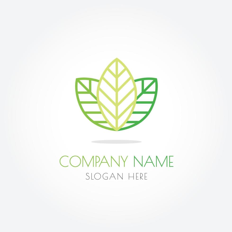 Green Leaf logo flat design natural vector isolated