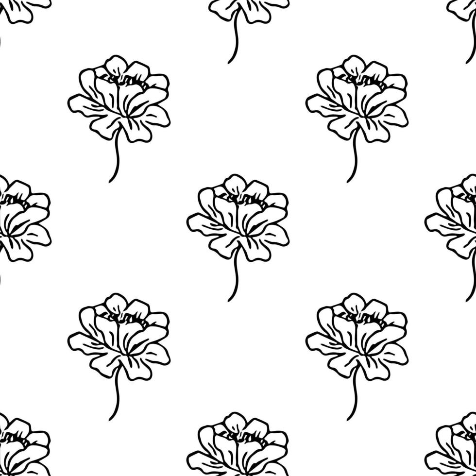 patrón floral transparente. fondo blanco y negro con flores vector