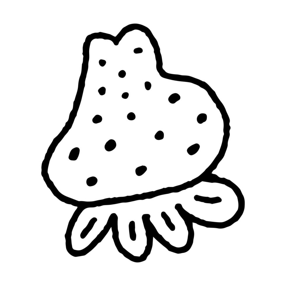 Hand Drawing Doodle Strawberry 4 vector