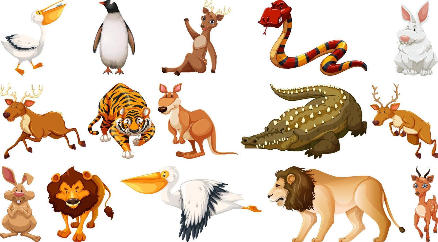 Set of different wild animals cartoon characters vector