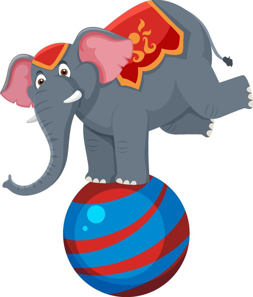 Elephant performance balancing on ball vector