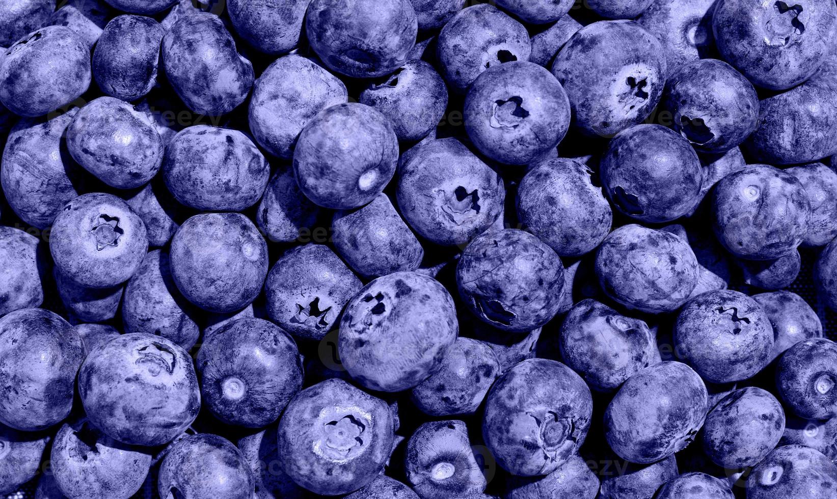 Very peri colored Blueberry background photo