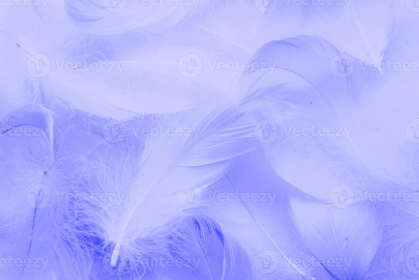 plumas esponjosas tonificadas con muy peri color foto