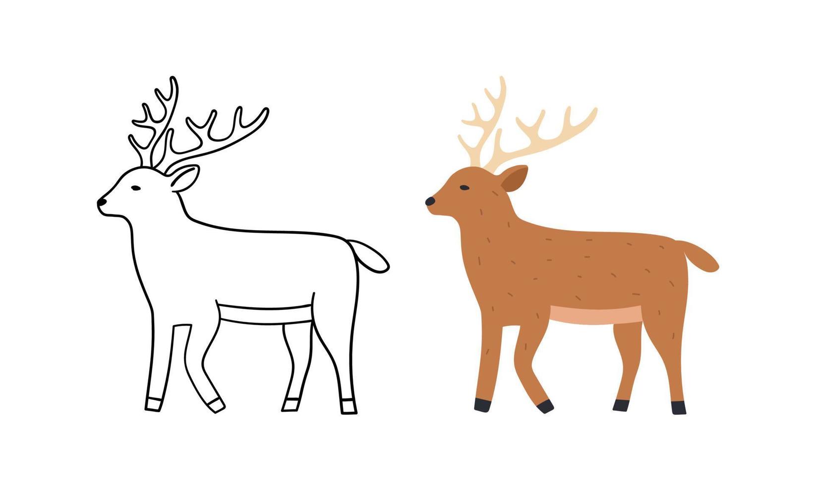 lindo ciervo dibujado a mano. Ilustración de vector salvaje animal. versión de contorno y color.