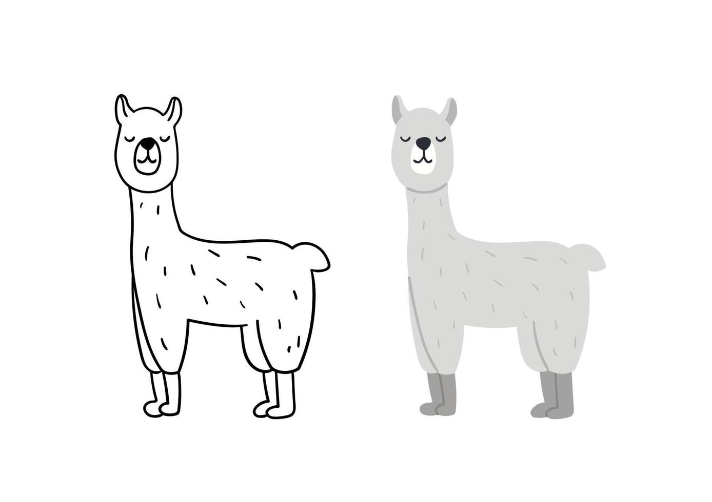 Cute hand drawn alpaca. Animal lama vector illustration.