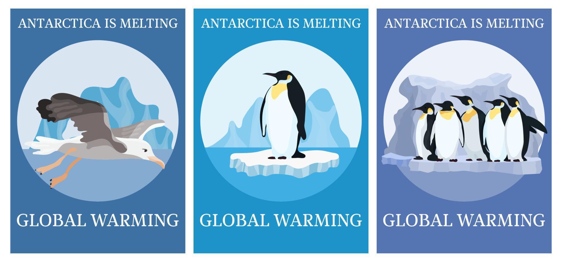 cartel de selección protección climática pingüinos vector