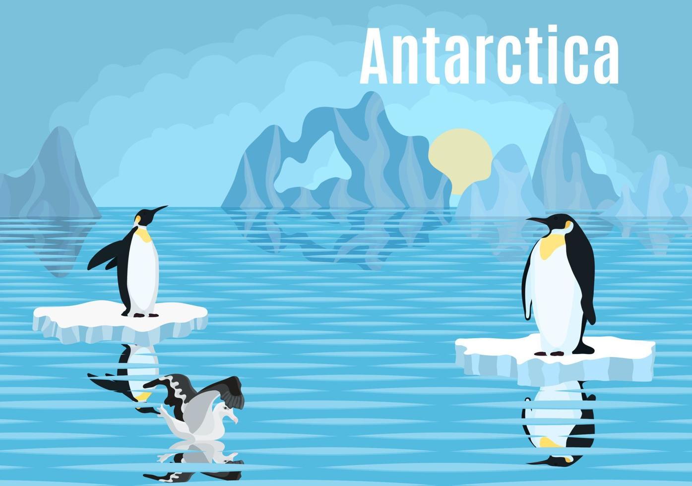 Póster pingüinos sobre iceberg albatros de la Antártida vector