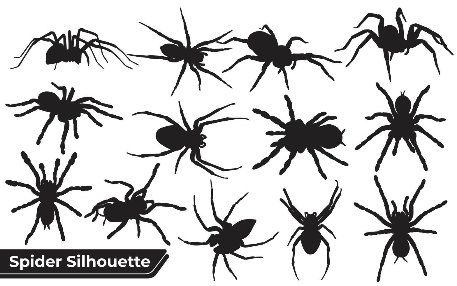 Colección de silueta de araña animal en diferentes poses. vector