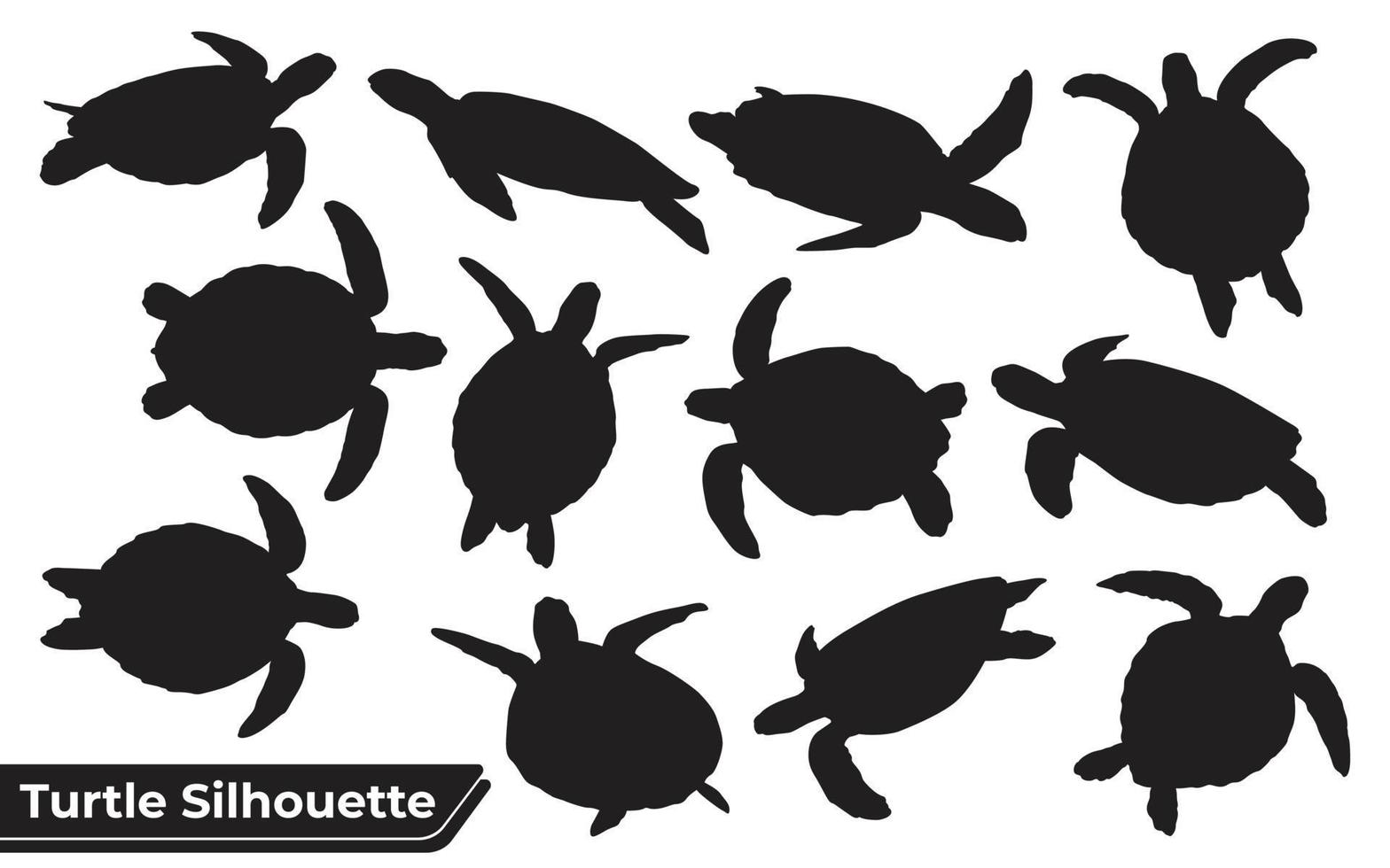 Colección de silueta de tortuga animal en diferentes poses. vector