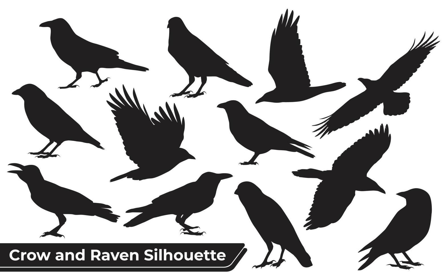 Collection of Crow and Raven Silhouette in different poses vector