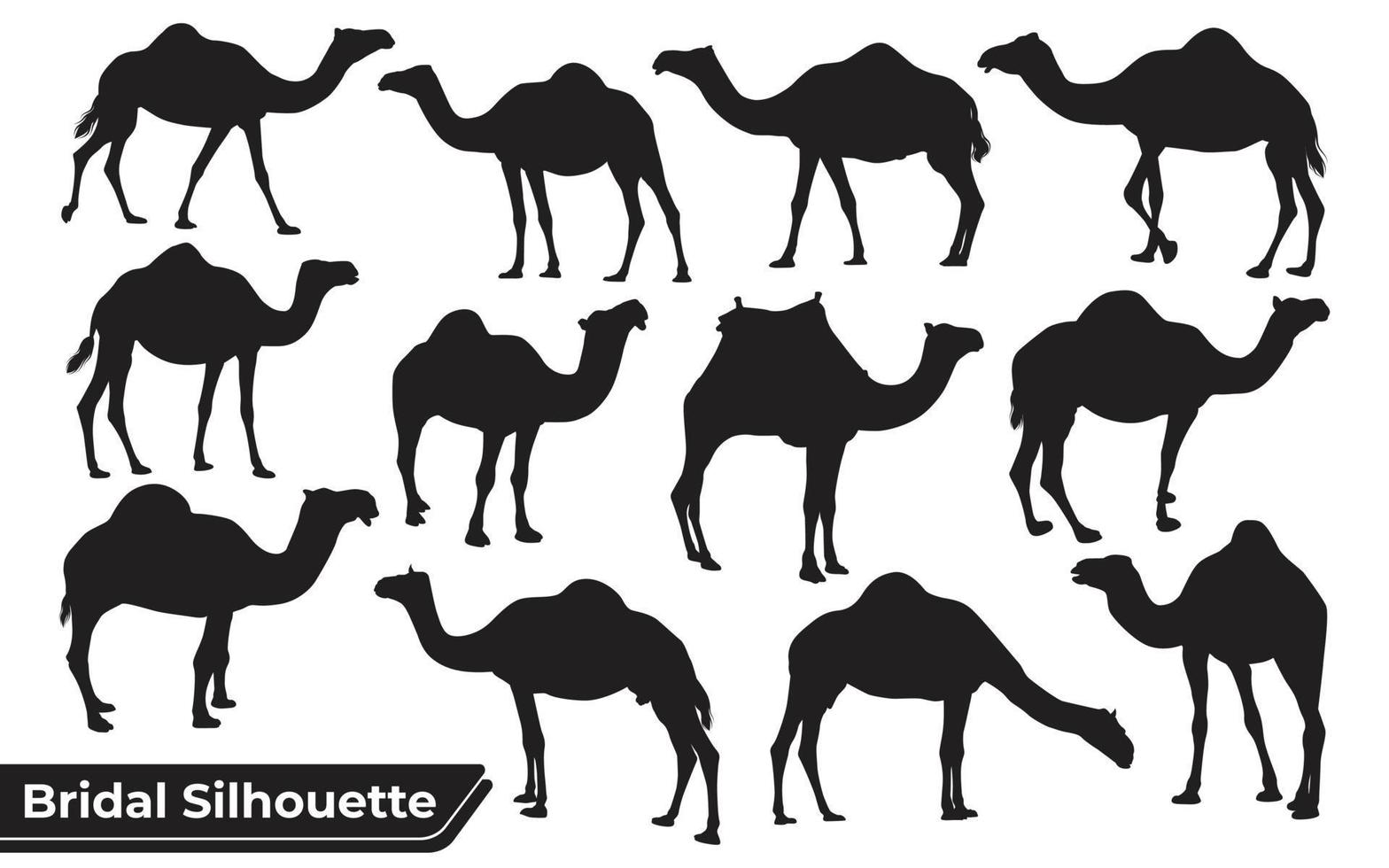 colección de silueta de camello en diferentes poses. vector