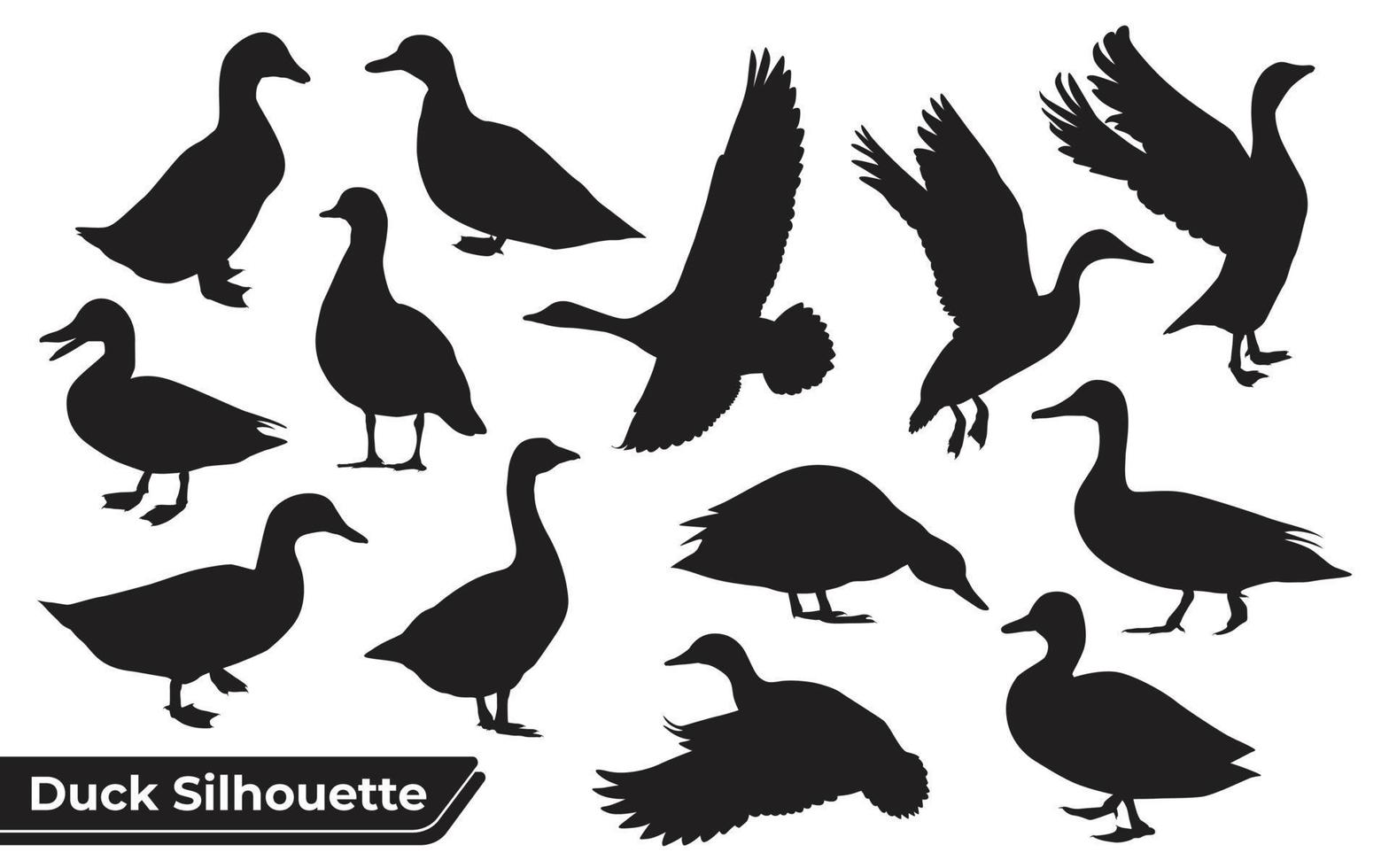Collection of Duck Silhouette in different poses vector
