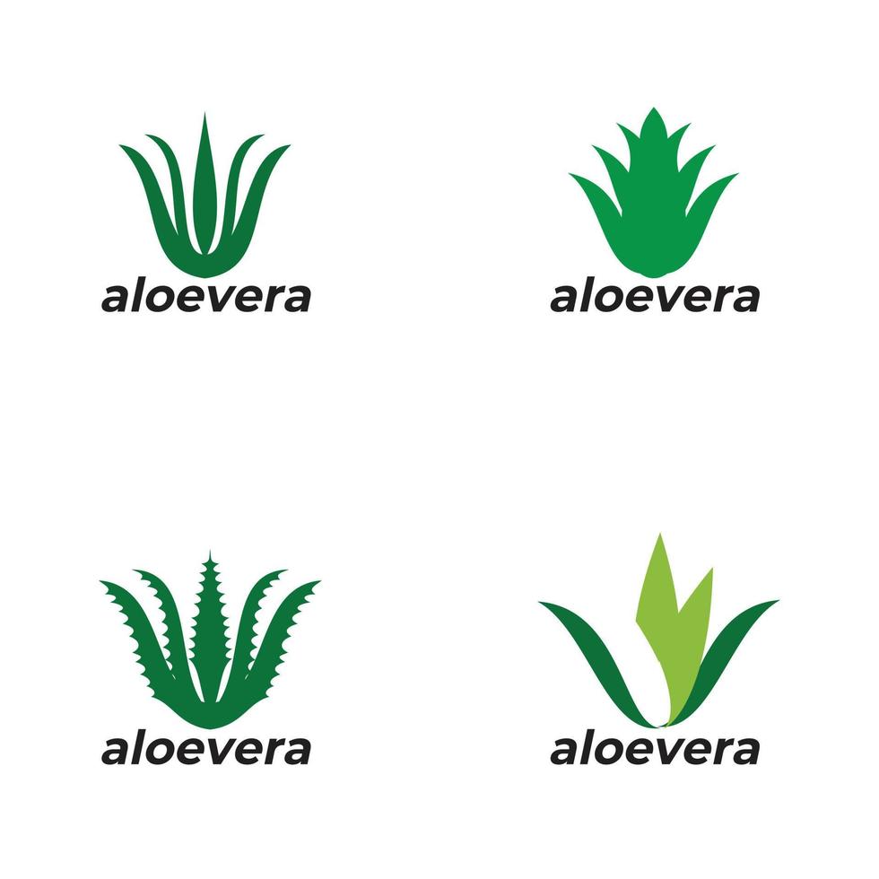 diseño de logotipo de icono de hierba de planta de aloevera vector