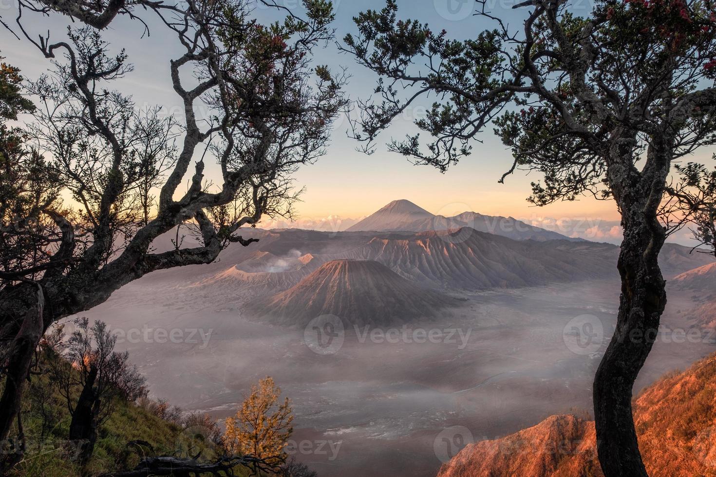 Monte volcán activo con marco de árbol al amanecer. foto