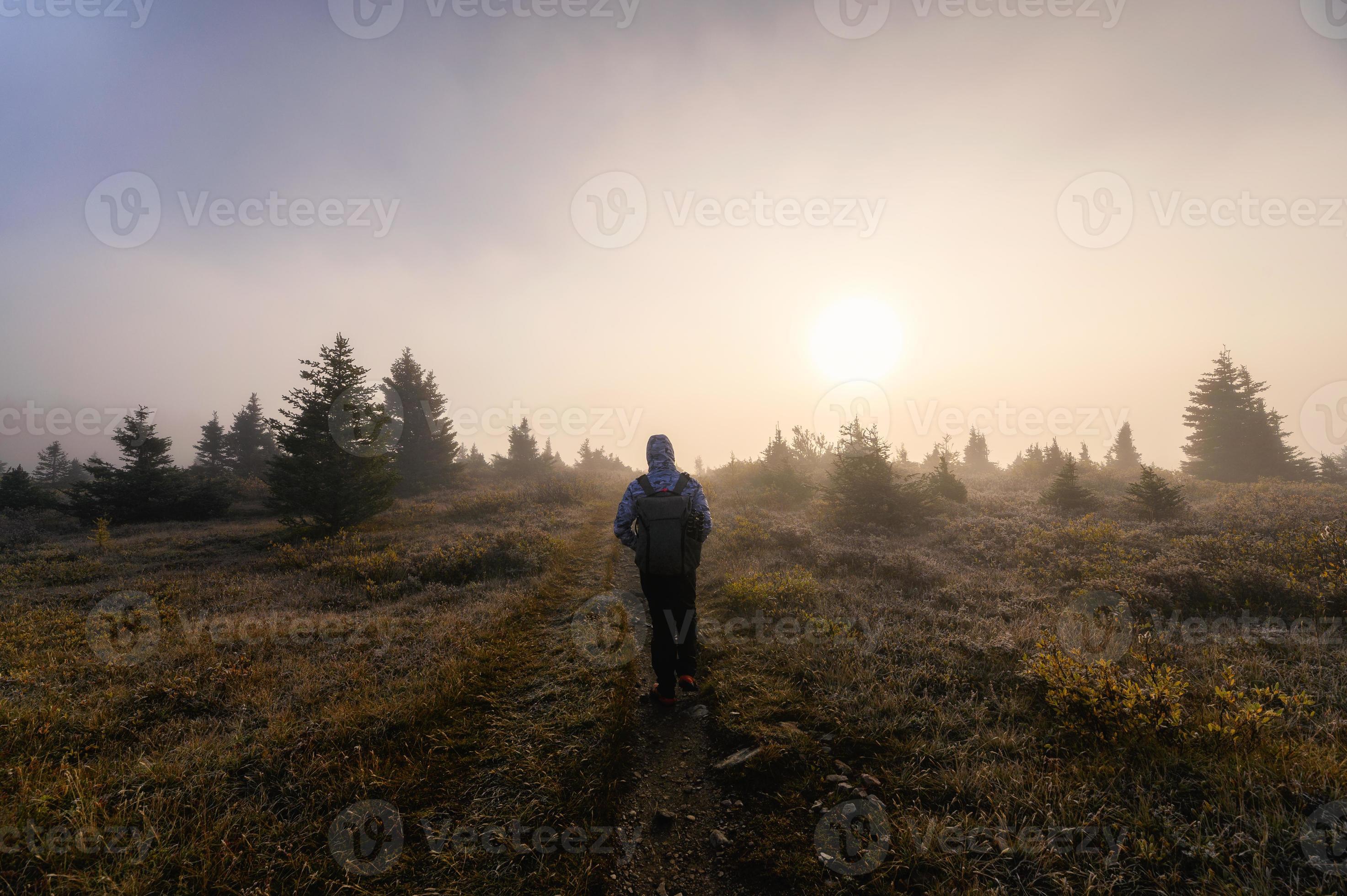 Hombre viajero de pie con el sol en la niebla en sendero en el bosque foto