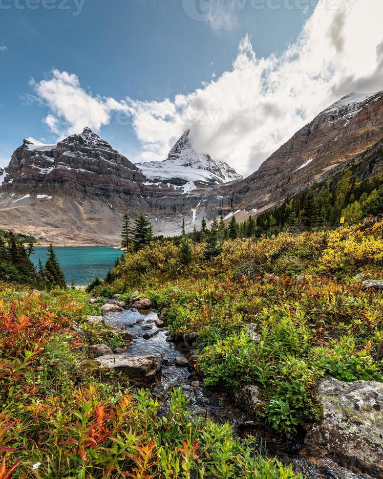 Monte Assiniboine con arroyo que fluye en el bosque de otoño en el lago Magog en el parque nacional foto