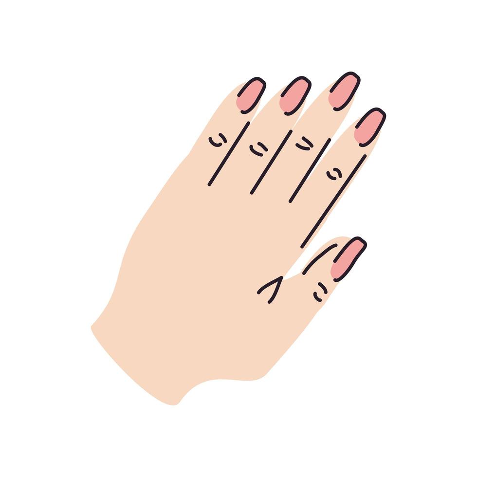 hand with painted nails vector