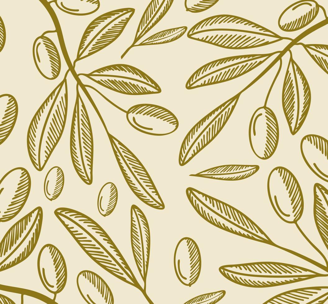 olive branches engraving pattern vector