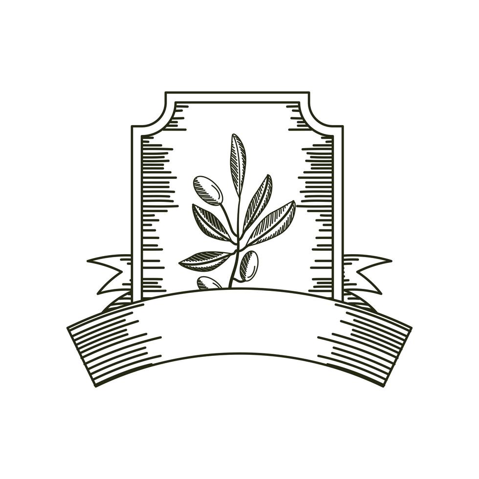 olive branch label vector