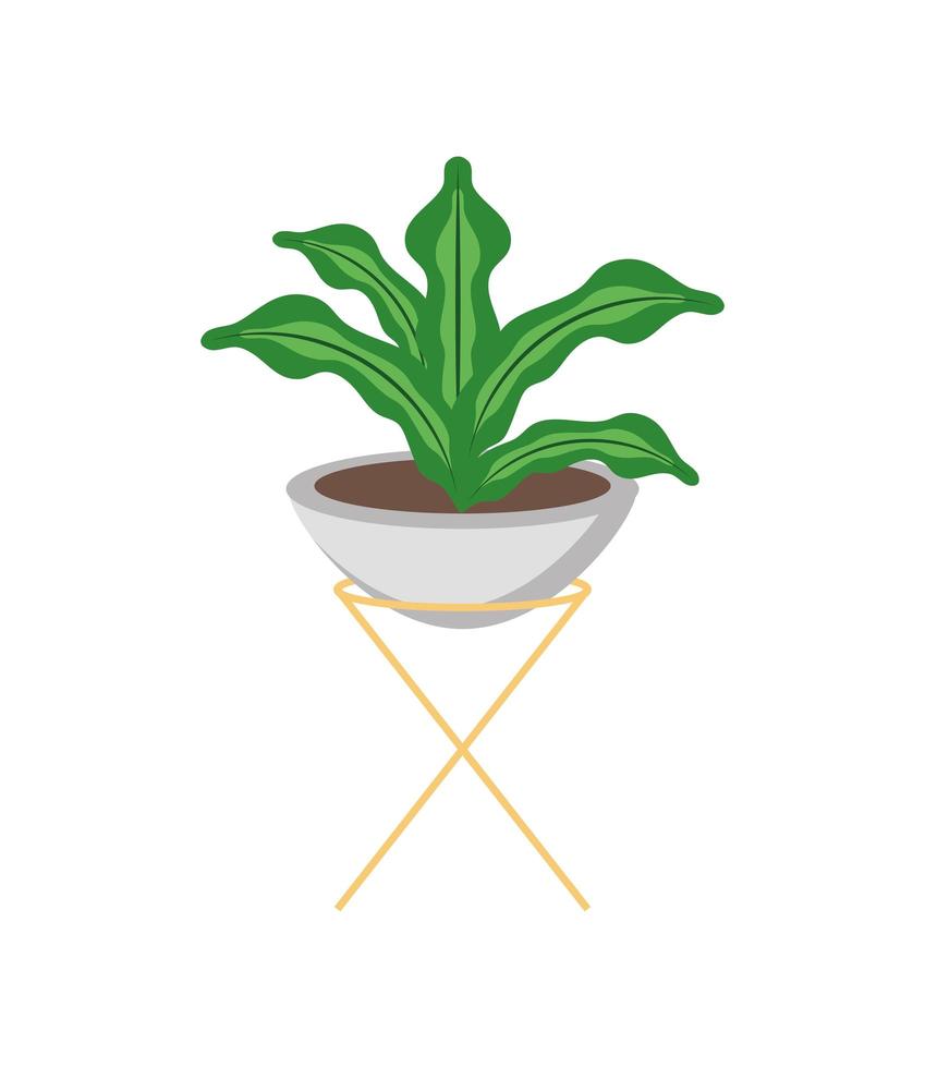 plant in pot vector