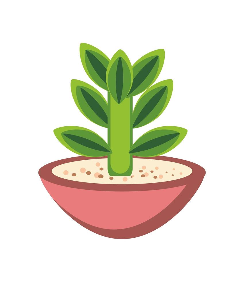 plant in clay pot vector