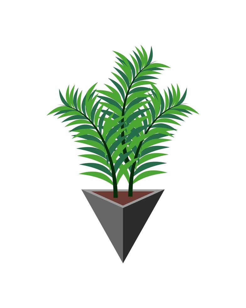 palm tree in a pot vector