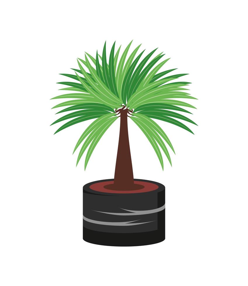 palmera de planta de interior vector