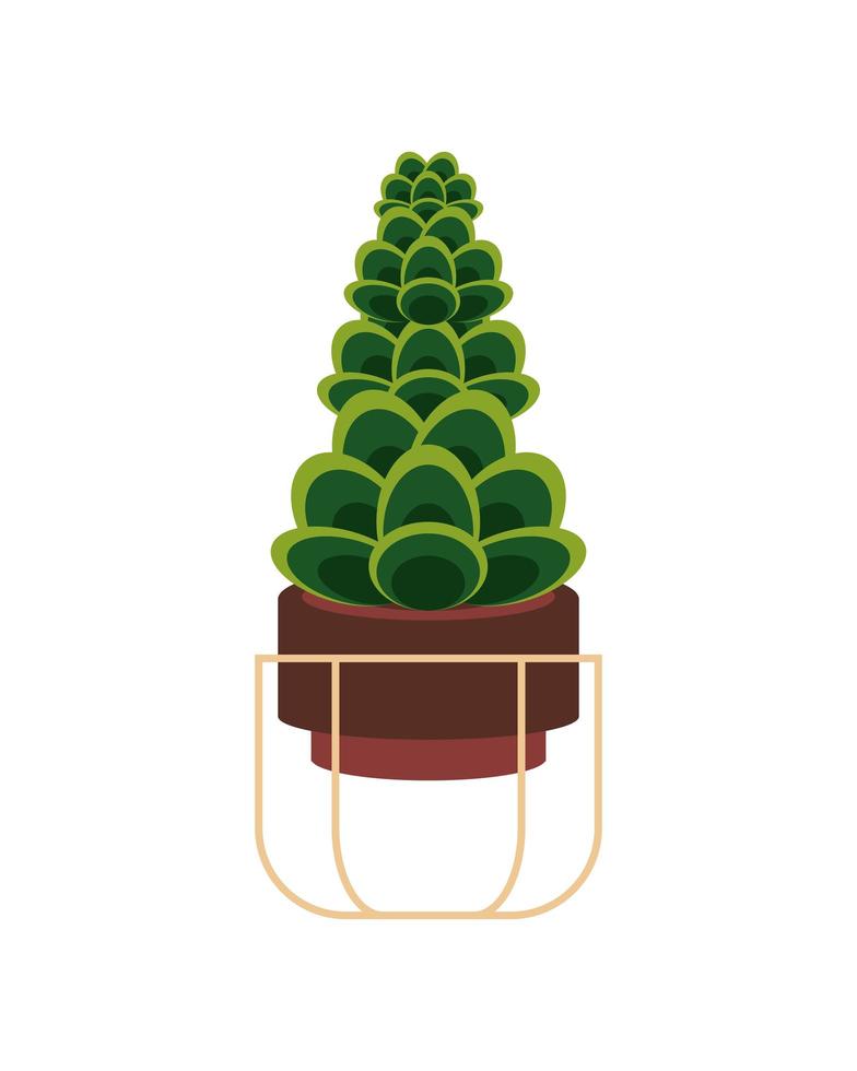 potted succulent plant vector